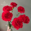 Гвоздики 5 шт.