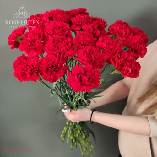 Гвоздики 25 шт.