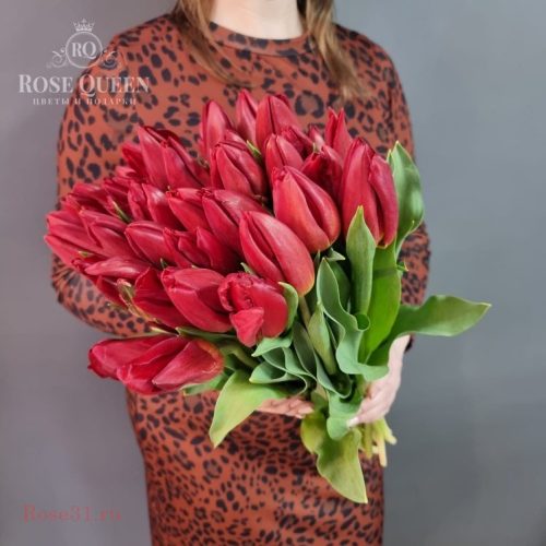 Тюльпан красный